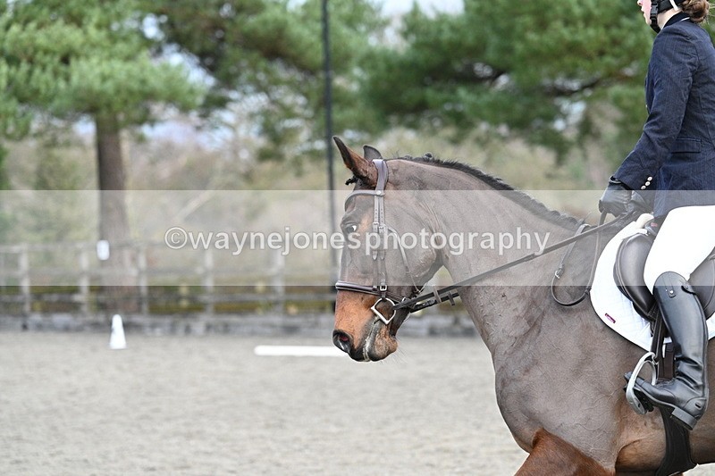 WJ7_5230 - Time 11:57 to 12:15