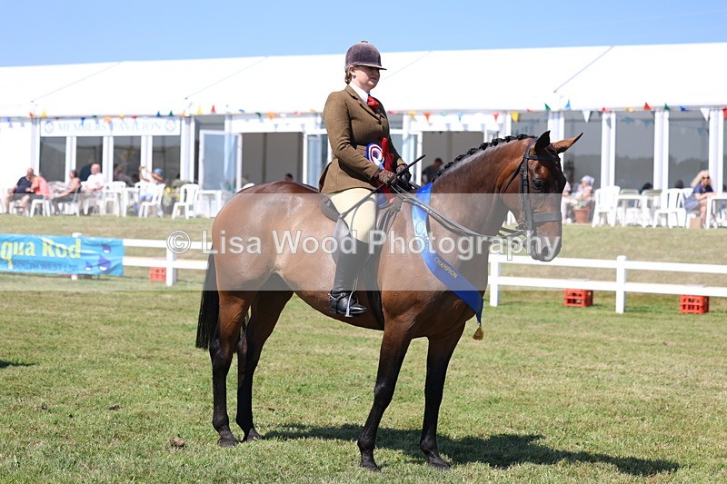 3E7A7617 - Rising Star Ridden Championship