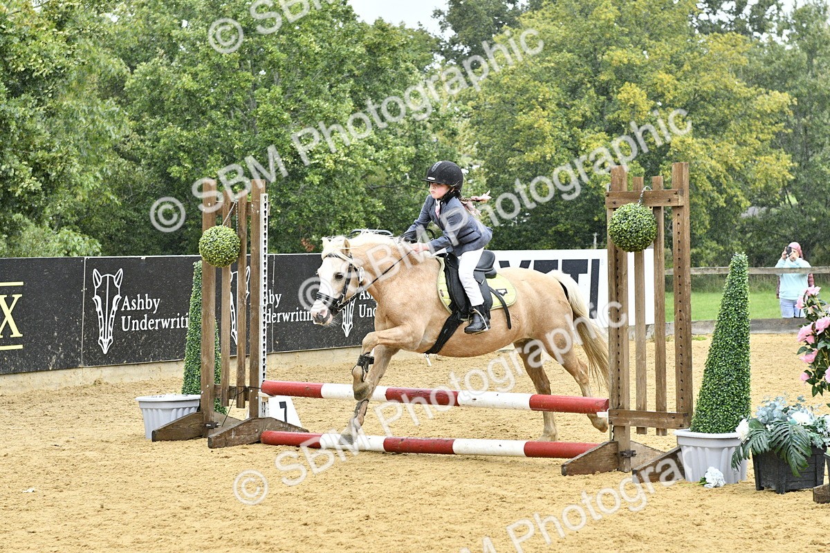 SBM_70856 - J3 - Mini Tour Junior Pony 40cm championship