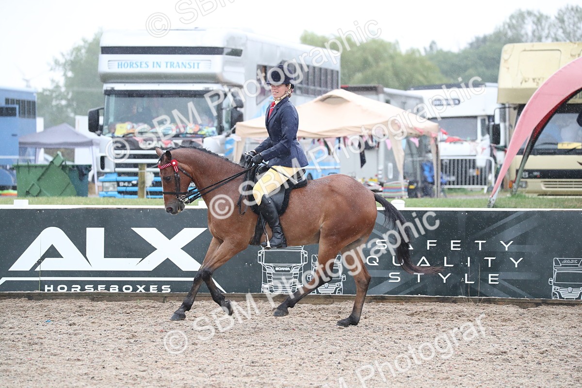 SBM_20459 - Class 601 - 2025 Area - Ridden Diamond