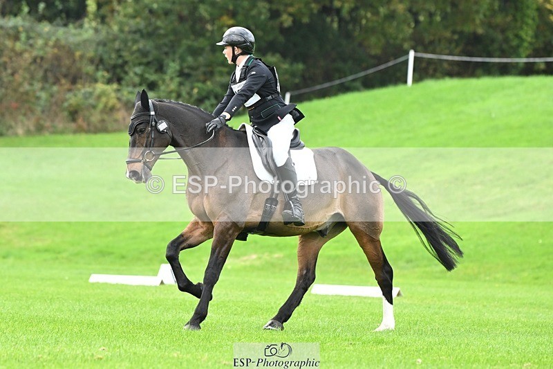 241024-100957-02945 - 406-Harvey.Crocker-THE.NIGHT.TRAVELLER