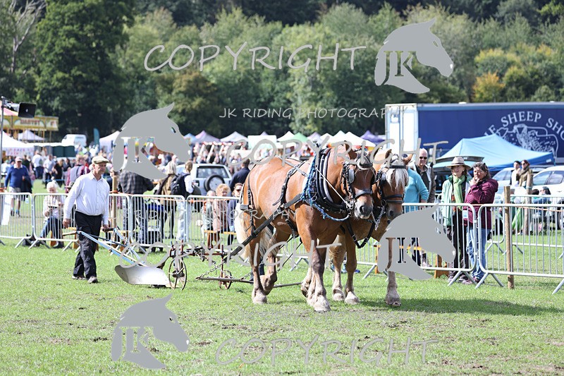 APP_3597 - Class 7 Turnout for a single or pair