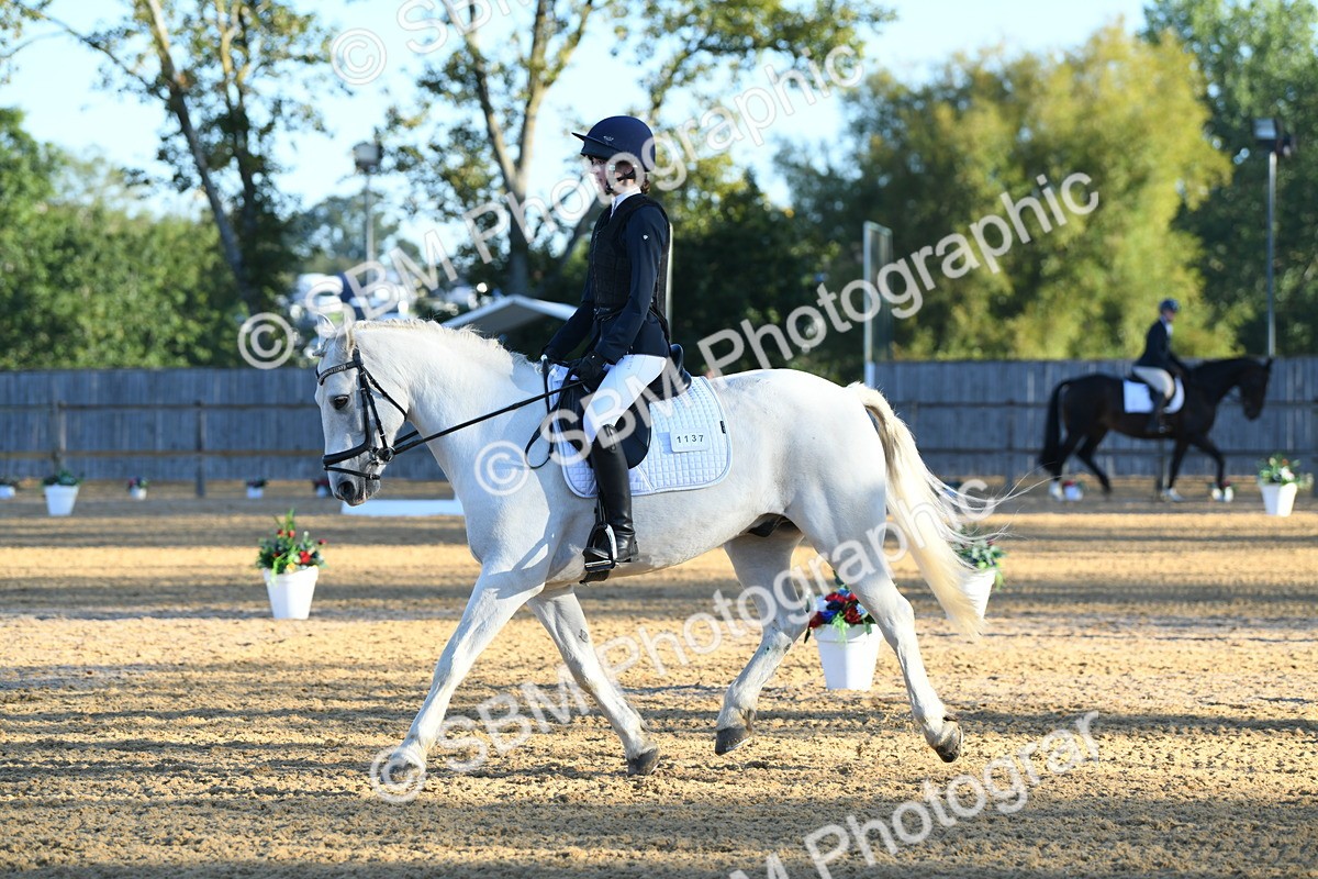 SBM_14260 - D4 - Small Tour Championship - Intro B