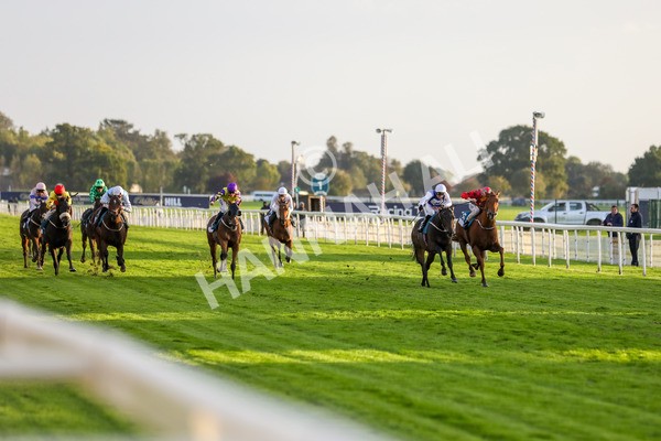 131023-Race 7-Thunder Roar-9950 - Race 7 5.35pm Visit Irish Bloodstock Sales With ITM Apprentice Handicap