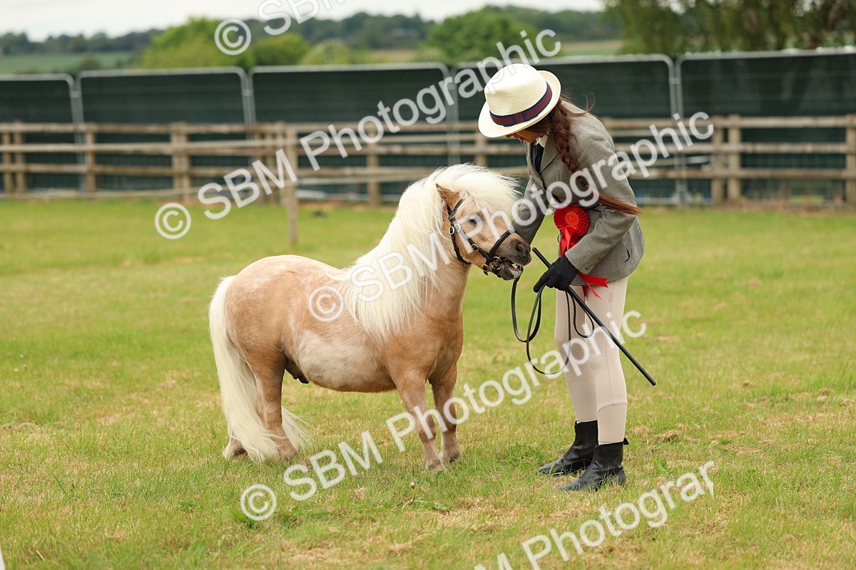 SBM_03516 - Class 58-67 - M&M Non Welsh Pony In hand