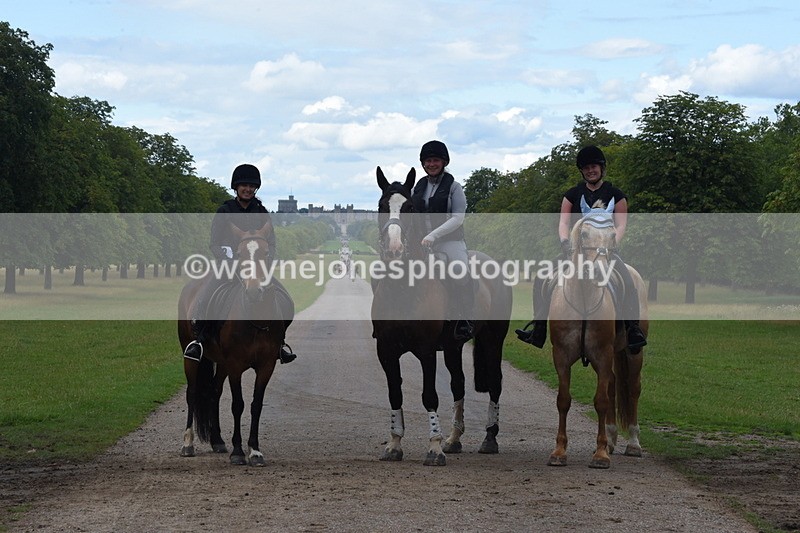 TT3_0543 - Time at Crossing 14:53 to 1526