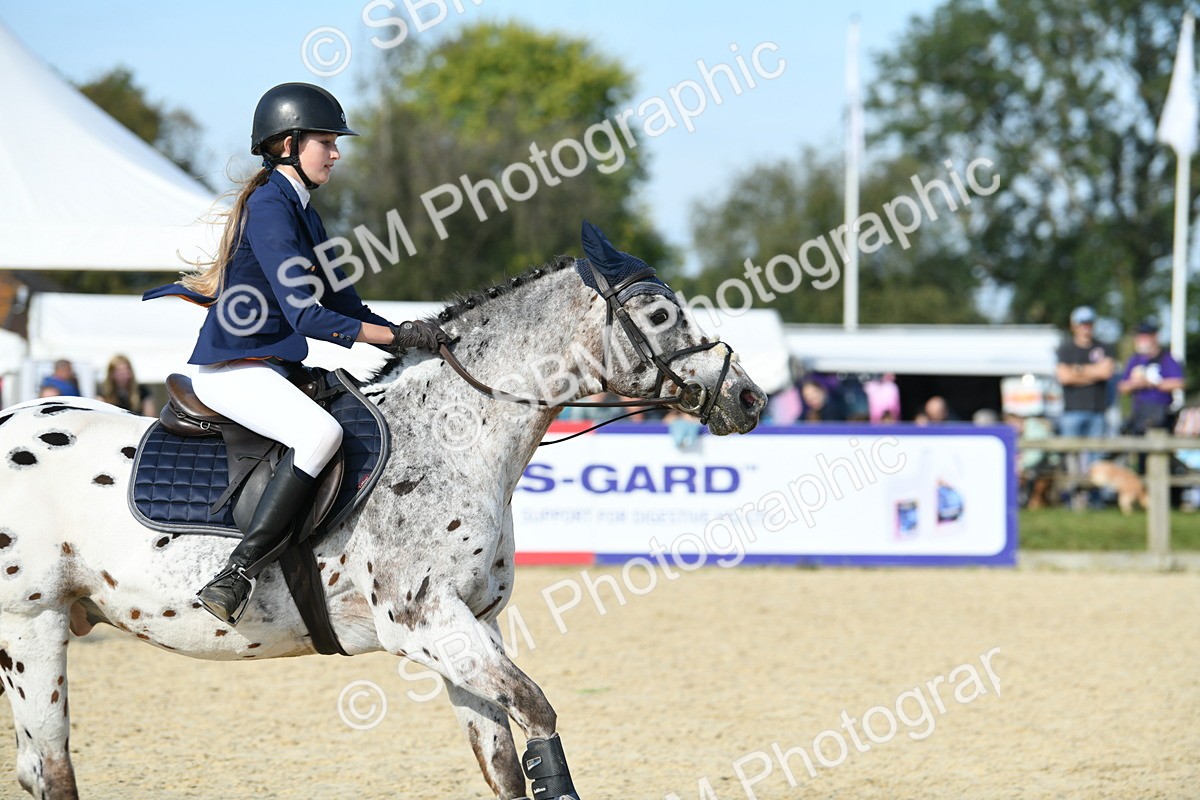 SBM_60733 - j25 - Junior Horse 80cm Championship
