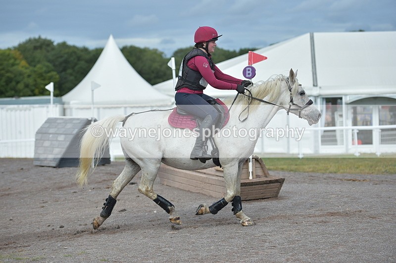 NGP_1239 - XC Time 10:38 to 10:51