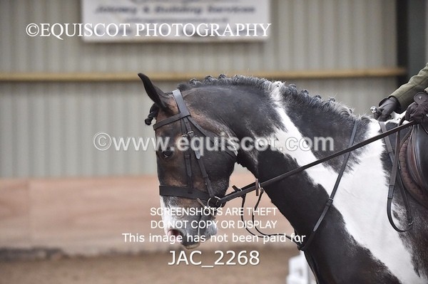 JAC_2268 - CLASS 2 Novice Working Hunter