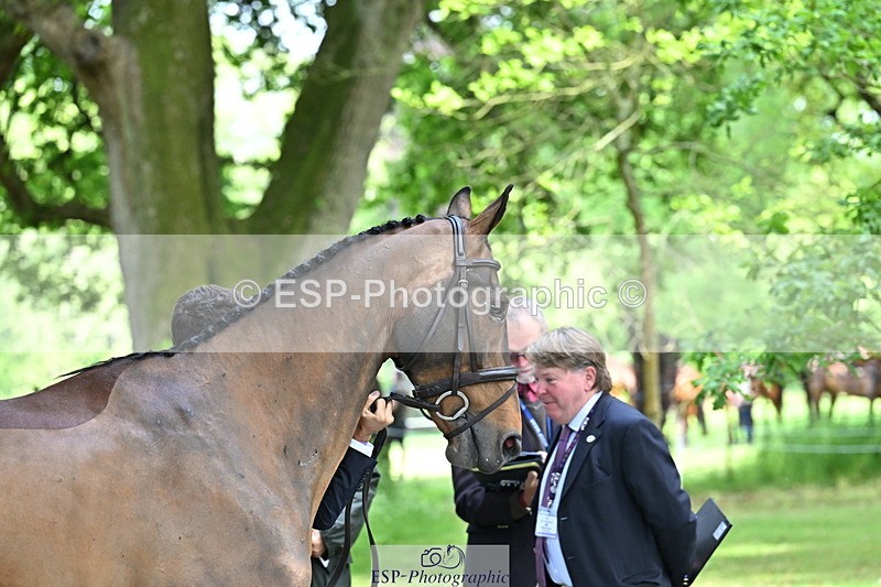 250521A-150854-00295 - B-301-Rafael.Losano-COOLEY.AND.CO