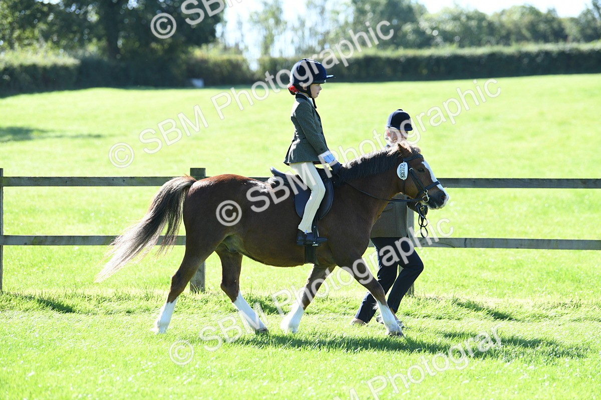 SBM_39527 - S18 - Novice & Newcomers Lead Rein Pony