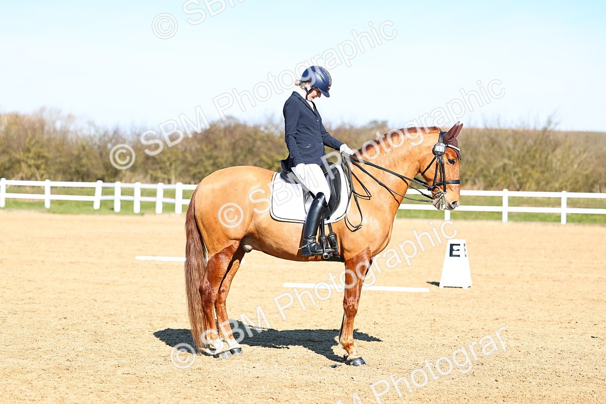 026A8491 - Class 2-6-5-4 - Paso Doble-Sevilla-Golega-Novato