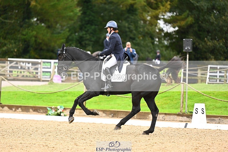 231021-115242-15009 - 343-MIDNIGHT.ROLLERCOASTER-Alison.Lidstone-DR