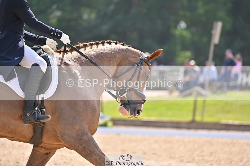 250523A-153228-07886 - A-057-Tabitha.Moore-BILLY.HOODOOS