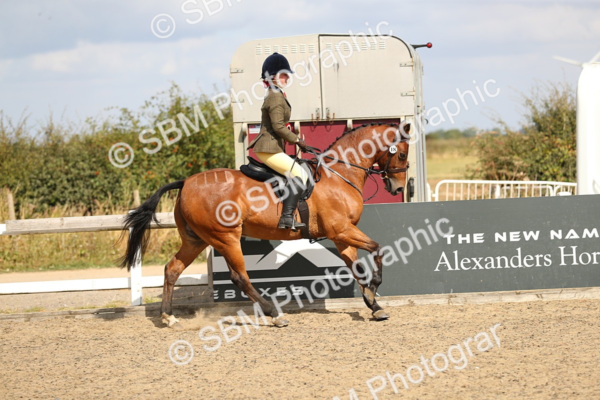 SBM_04284 - Class 46a Style & Performance 50cm (15-19)