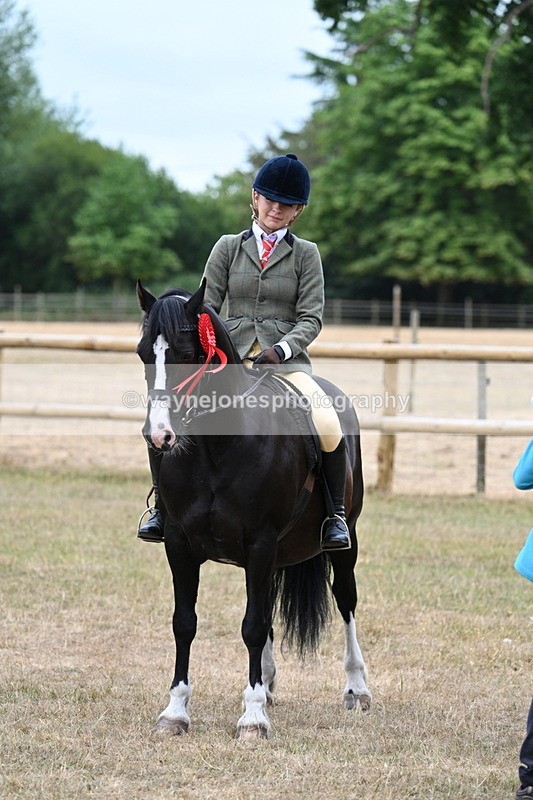 WJ7_0682 - Class 6 Ridden Mountain and Moorland