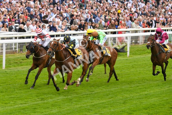 yr11062022r3-17 - Race 3 2.35pm The JCB Stakes