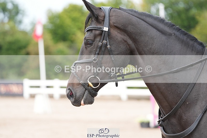 250731-102102-01351 - Cls 08  85cm Nat Am Qual