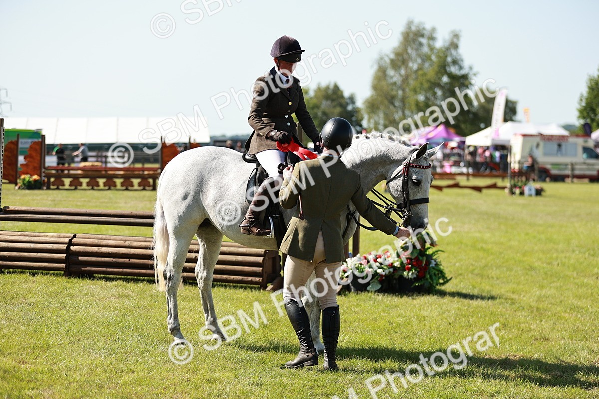SBM_18937 - Class 114 - RIHS & SEIB Open Working Show Horse