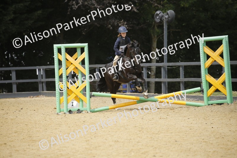 20250622-4660 - 50cm