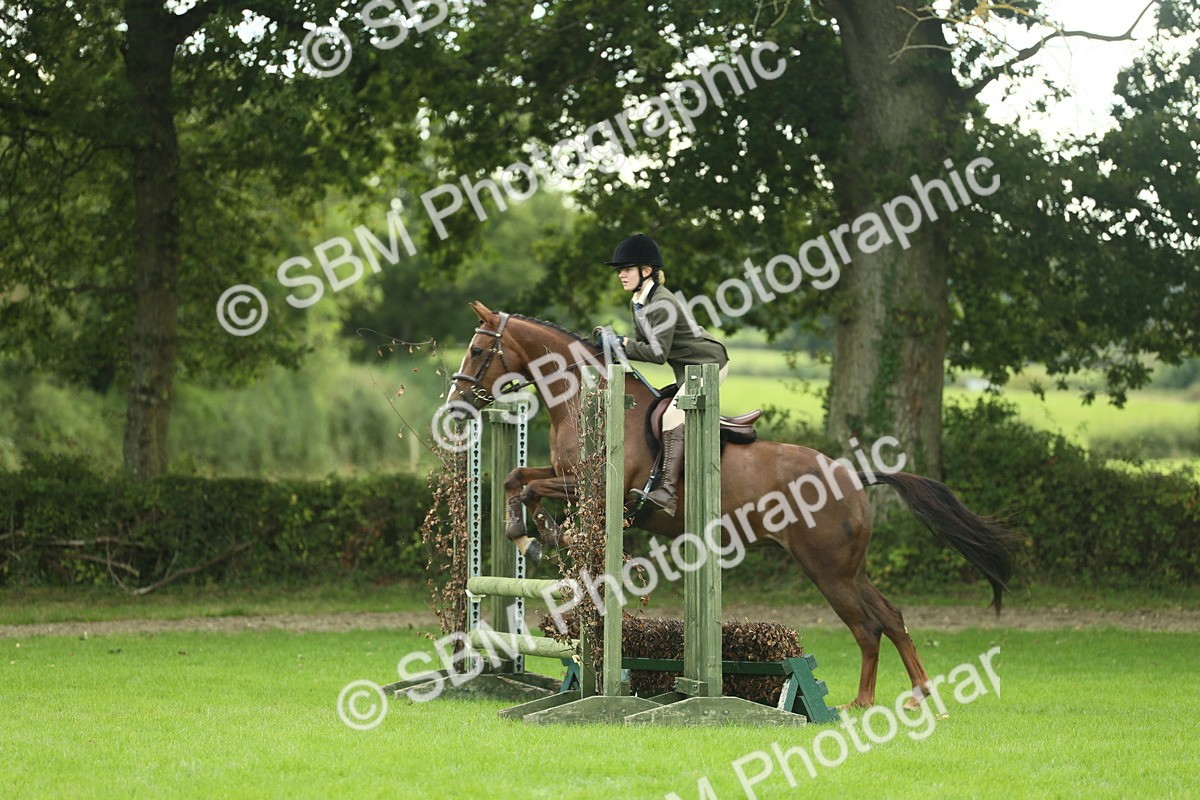 SBM_47960 - S32 - Novice & Newcomers Working Hunter