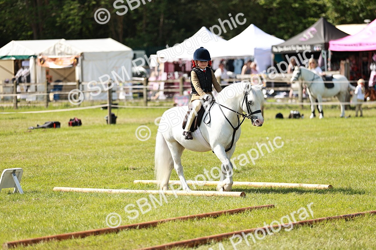 SBM_12745 - Class 106-107 - BSPS LIHS Working Sports Pony