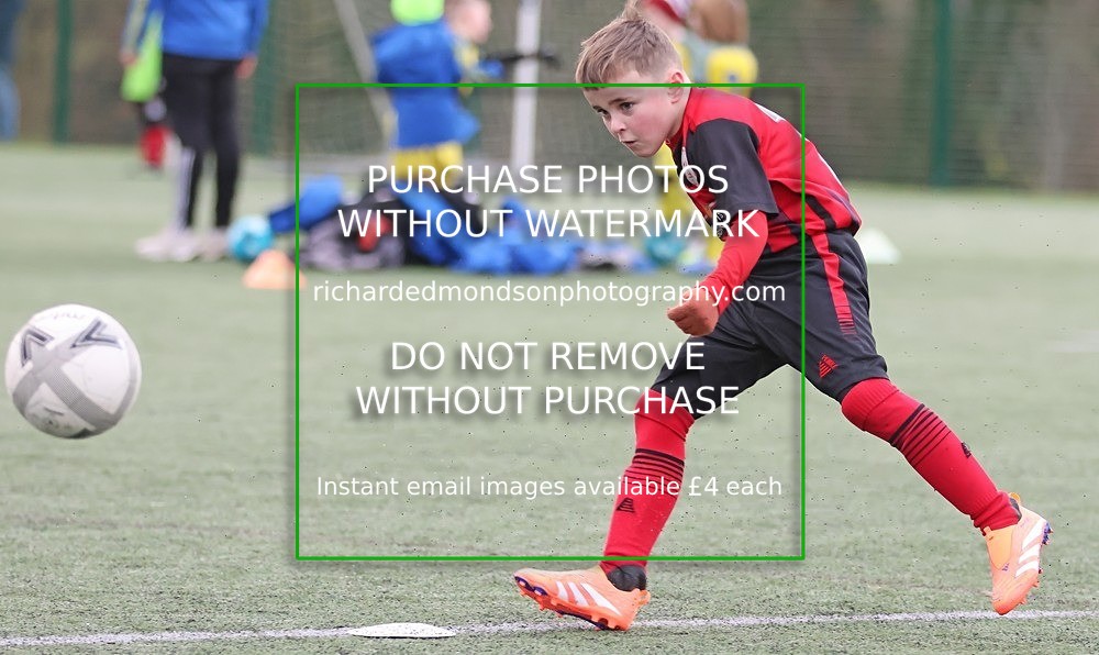 533A9141 - Dalton Juniors