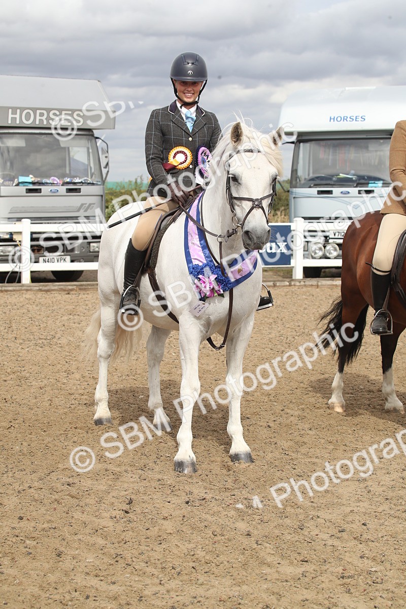 SBM_17788 - Class 508a - Working Veteran 70cm (15-19)