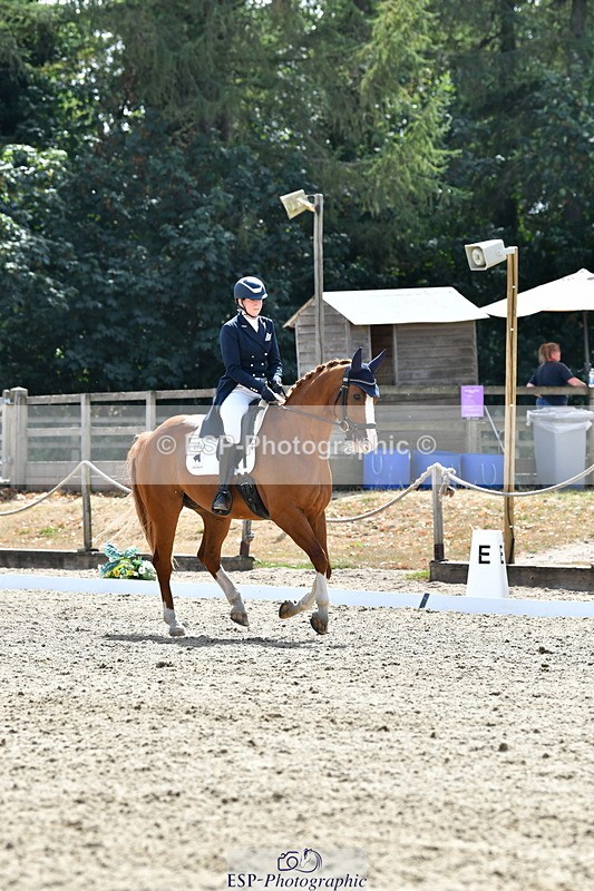 260802A-151655-07339 - Intermediate Bronze