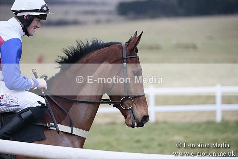 PtP 180218 355 - Combined Services Point-to-Point Larkhill 18/02/18