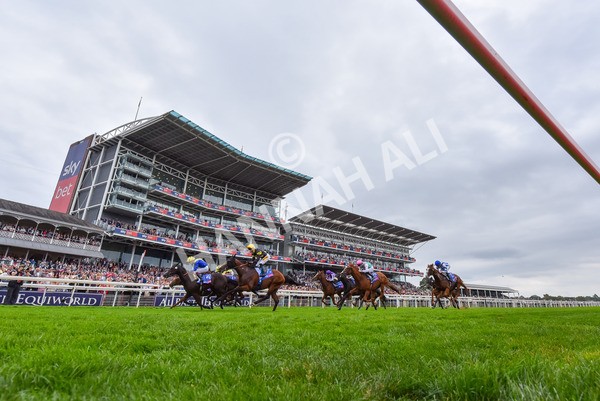 230825-Race 3-Never So Brave-9673 - Race 3 3.00pm Sky Bet City Of York Stakes
