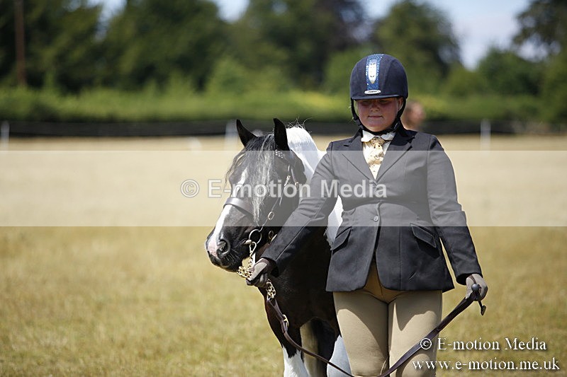 _C7A0015 - BVRC Sow 2018 Ring 2