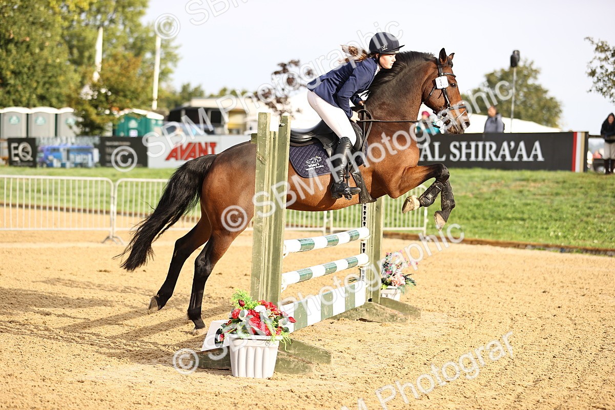 SBM_55236 - J62 - Clear Round 90cm