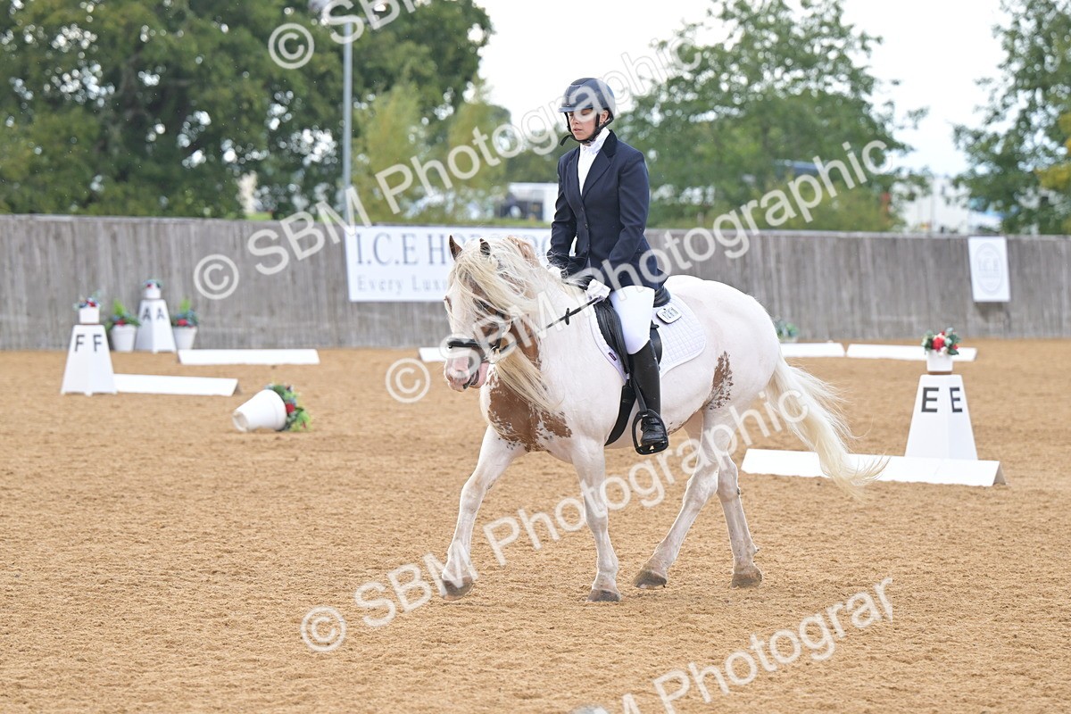 SBM_11224 - D3 - Small Tour Championship Intro 3