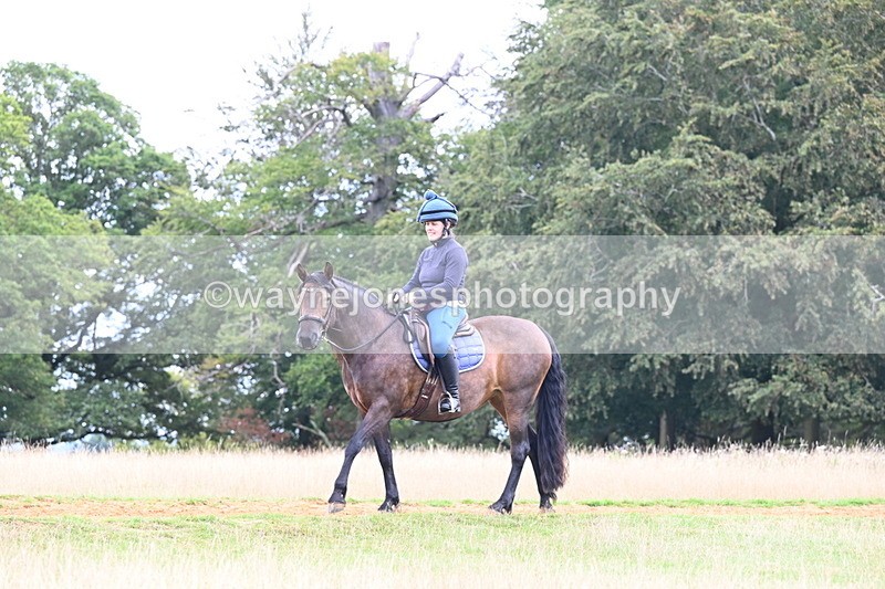 DSC_9350 - Time at Statue 14:33 to 15:10