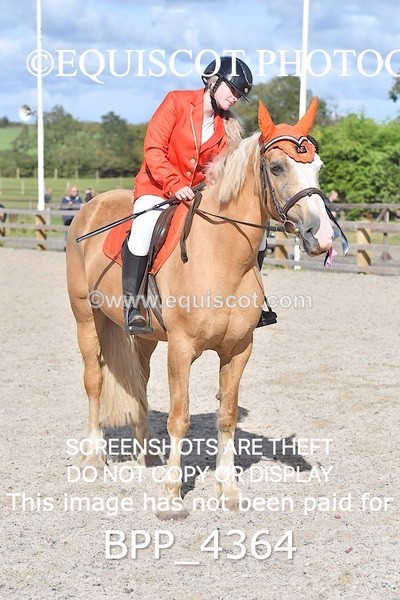 BPP_4364 - CLASS 6 HORSE 60CM FINAL