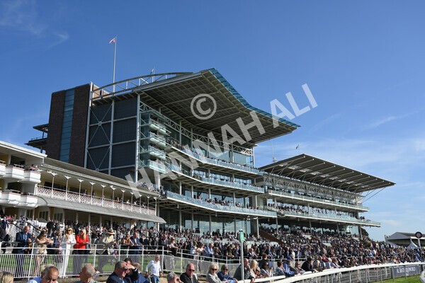 yr08102021r3-21 - Race 3 3.15pm Download The Casumo App Today Handicap