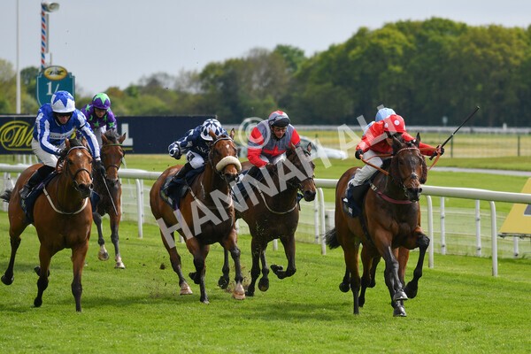 yr22052021r4-24 - Race 4 3.50pm WilliamHill.com Best Odds Guaranteed Stakes
