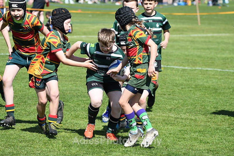  - Selby Rugby Festival 2025
