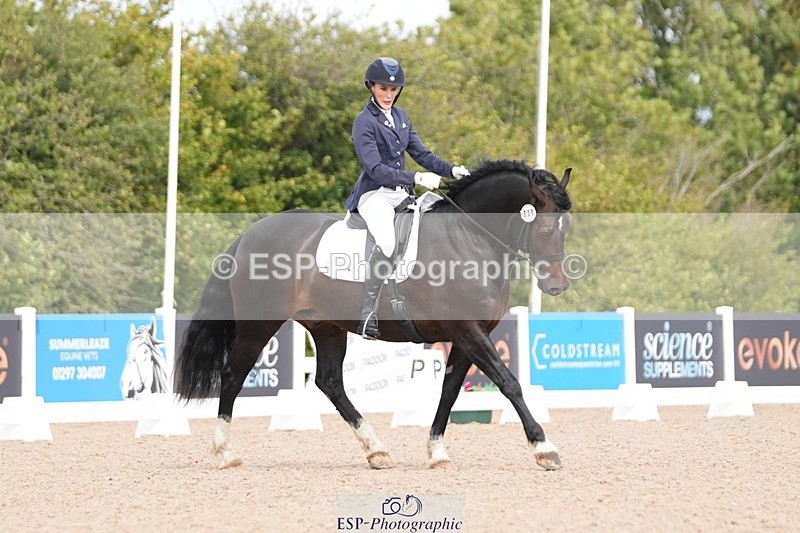 250906-111442-01964 - 030-Rebecca.Ezra.-.HamMaesmynach.Mr.Sam