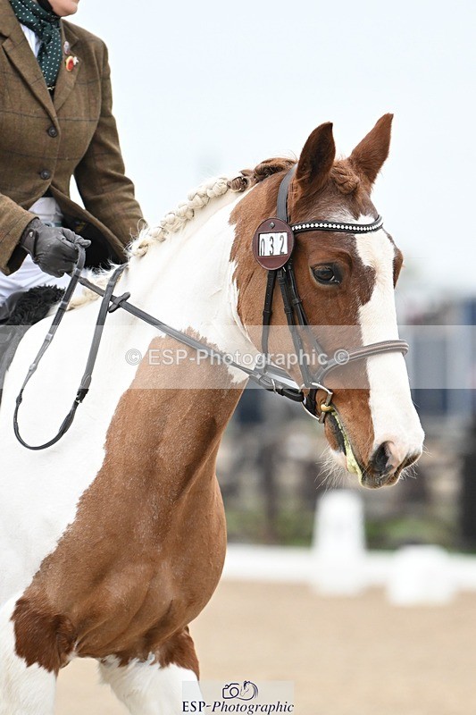 241103-095532-00236 - Intro 3 - 9.40 to 10.40