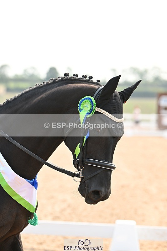 250816-142550-05536 - Saturday 2.30pm Presentations