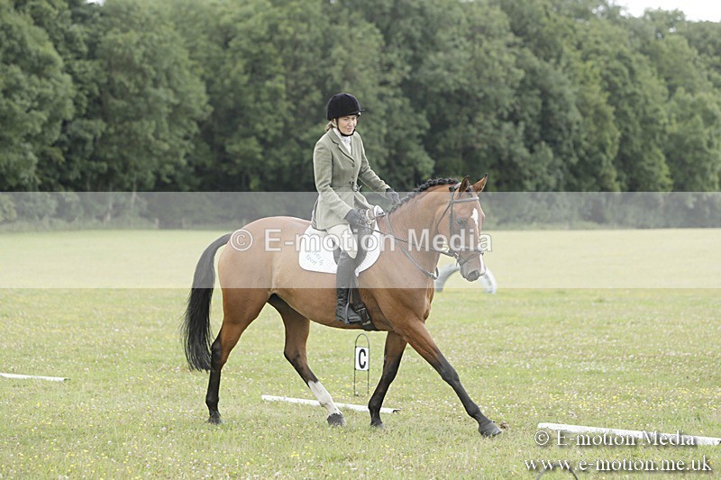 BVR160717-1461 - Class 3 Dressage 16/07/17