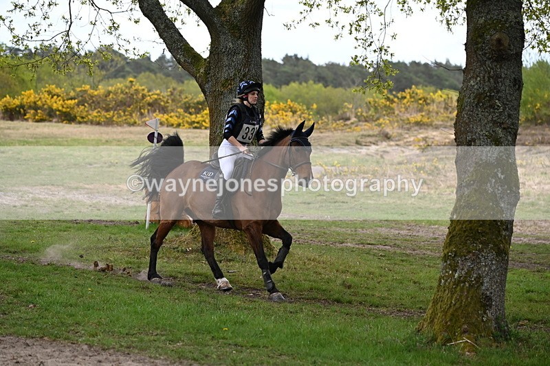 WJ6_0600 - Time 14:13 to 14:51