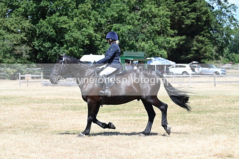 WJ7_2932 - Class 7 Riding Club Show Horse