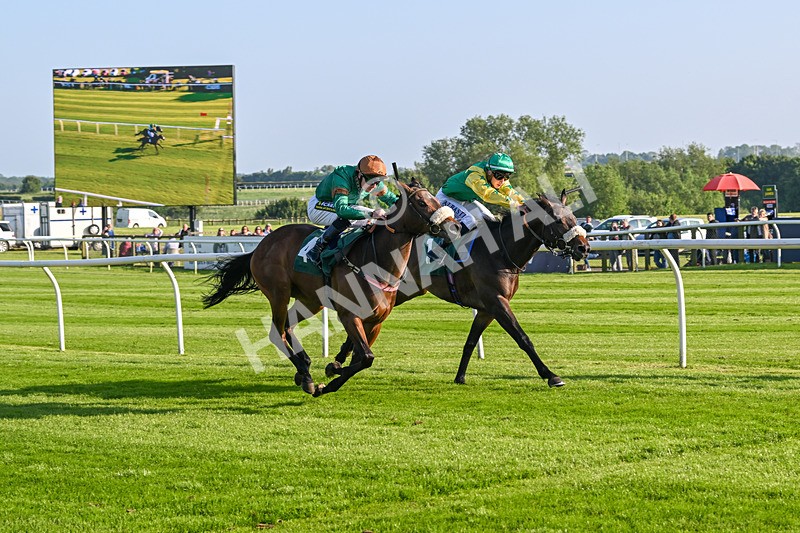 310524-Race 1-Military Girl-8347