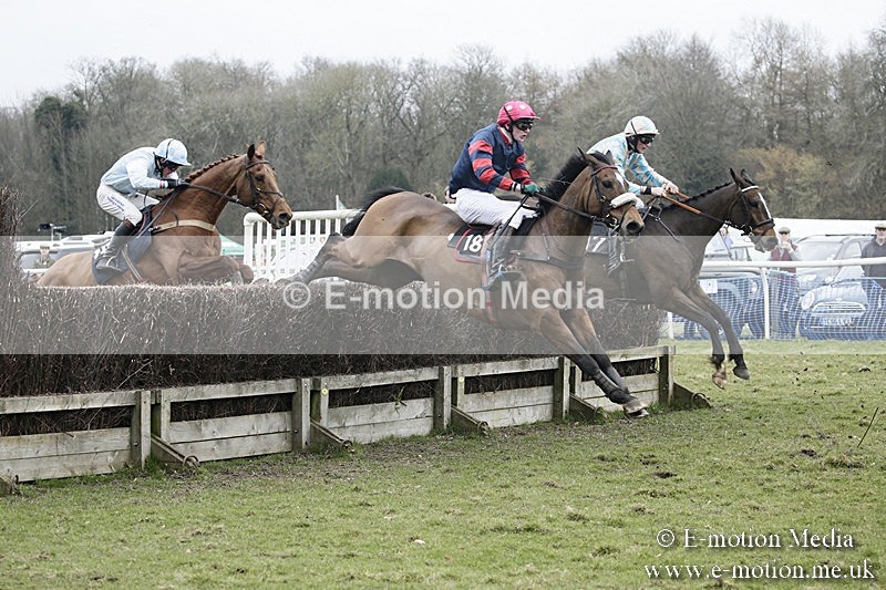 PtP 110318 403 - Hampshire Hunt Point-to-Point Hackwood Park 11/03/18