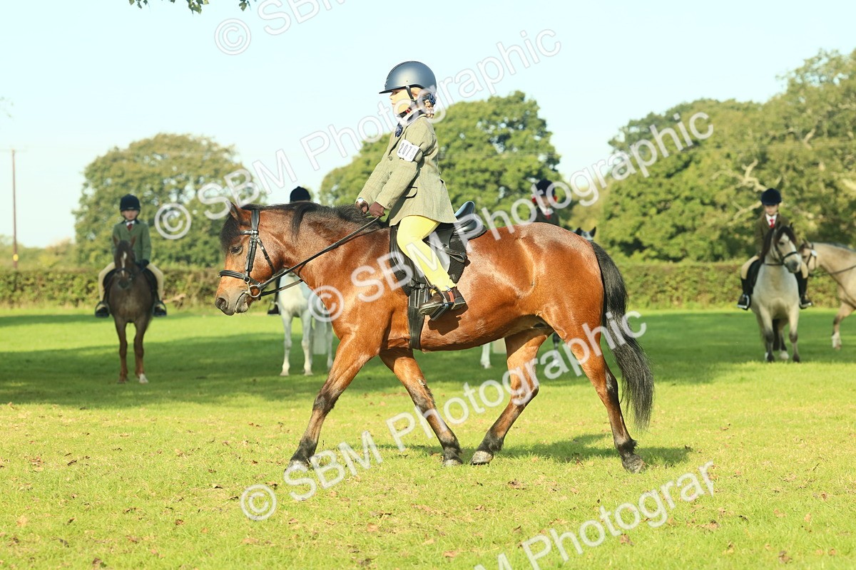 SBM_59165 - S38 - Starters Ridden Showing