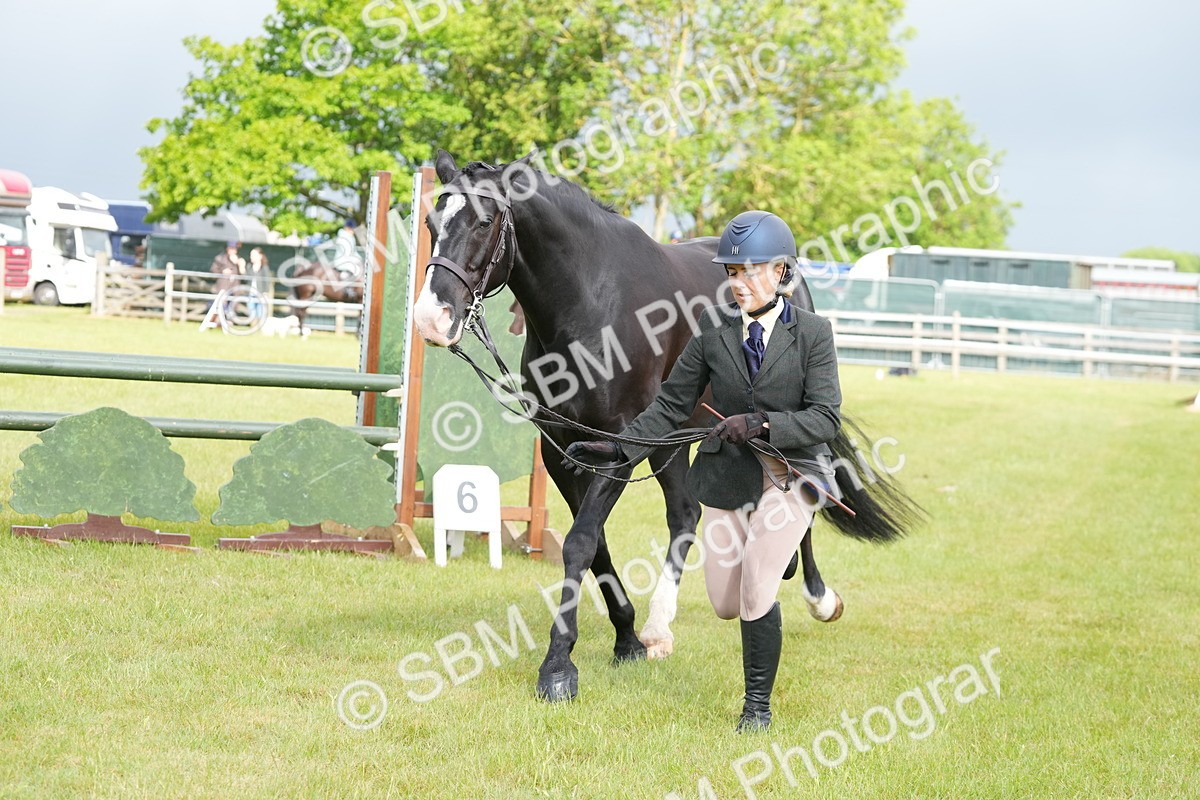 SBM_12768 - Class 97-98 - LIHS BSHA Rising Star Working Show Horse Hunter
