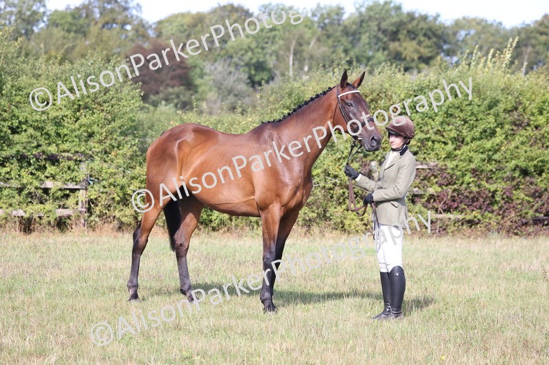 20260906-0681 - Class 22 - Ex Racehorse